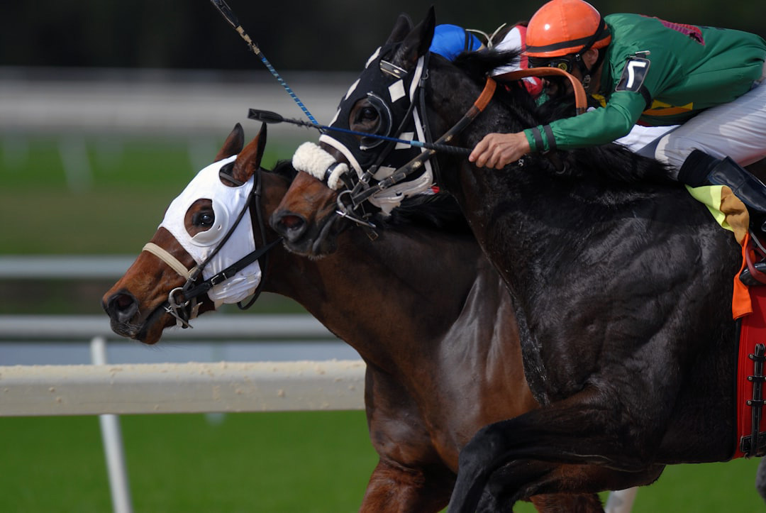 Univers turf premium